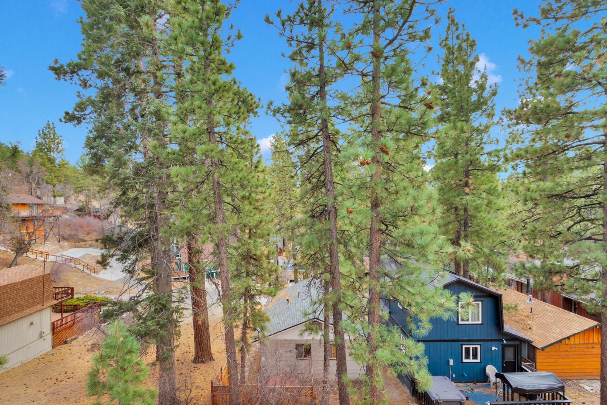 Cozy Crescent Tree Cabin Near Bear Mountain Биг Бэар Лейк Экстерьер фото